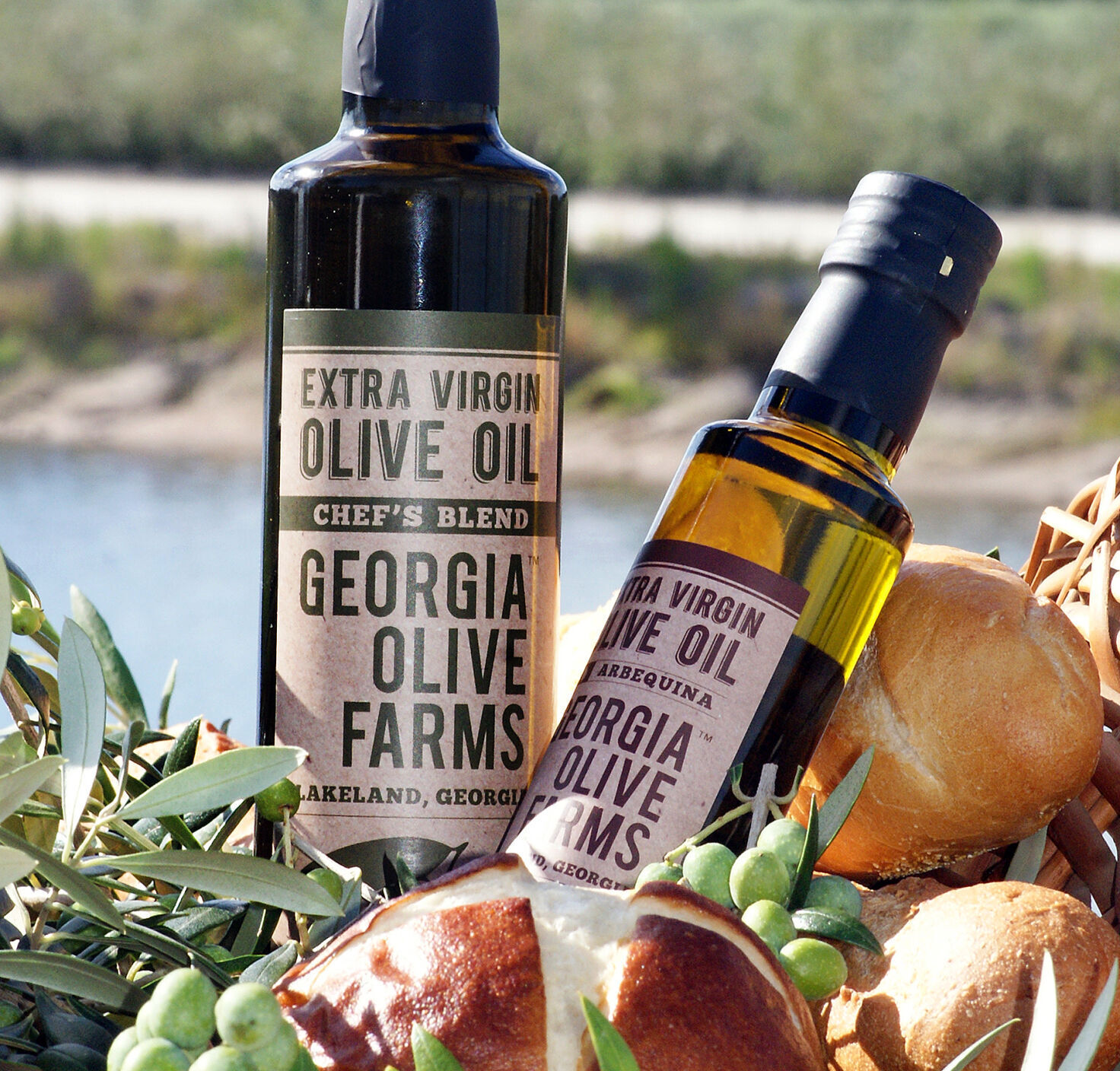 Georgia Olive farms olive oils